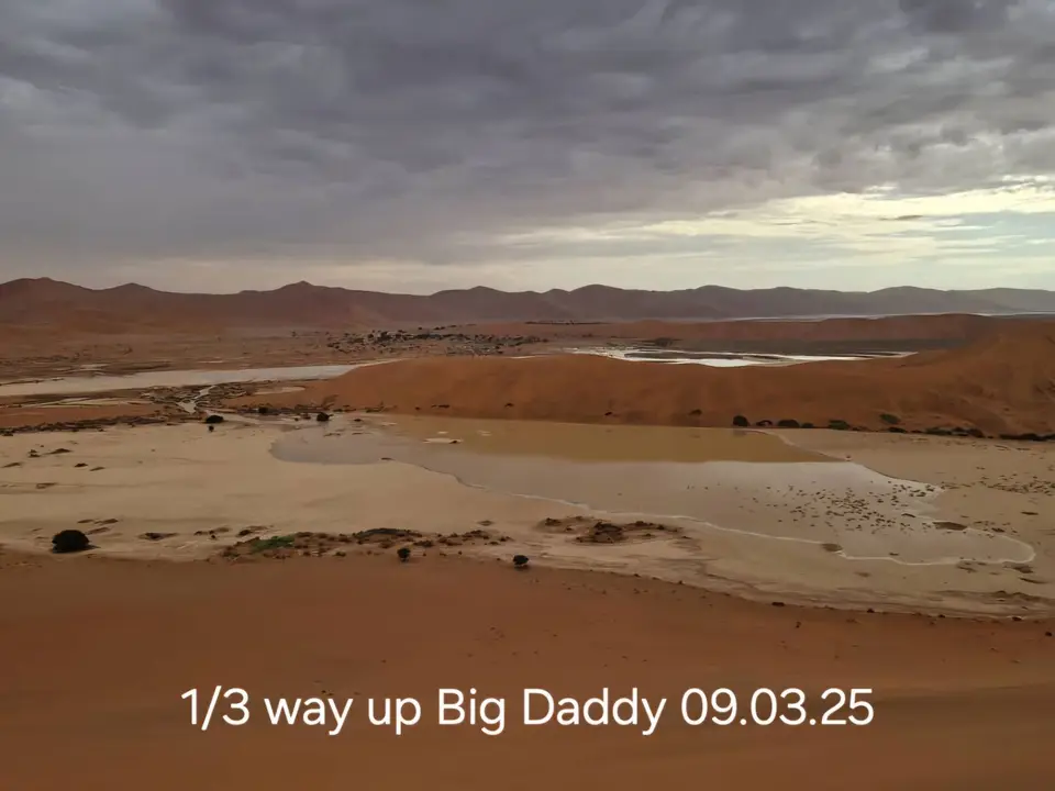 482026742_10162620967264936_1183971483206393194_n.jpg