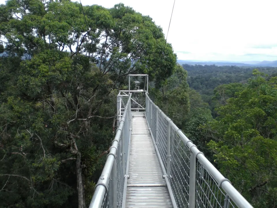 brunei_10-08_ulutemburong_48.JPG