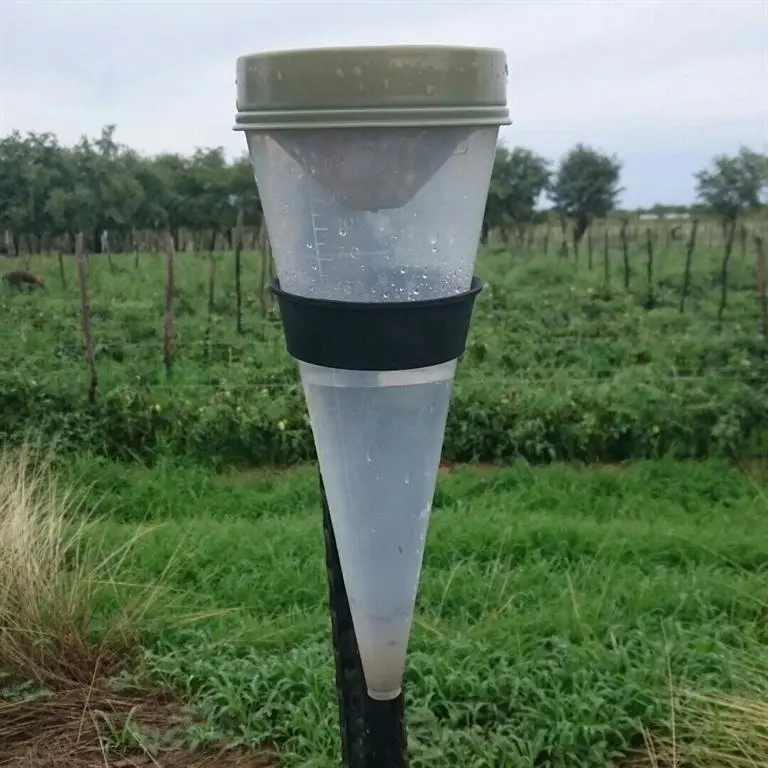 reenmeter110401.jpg