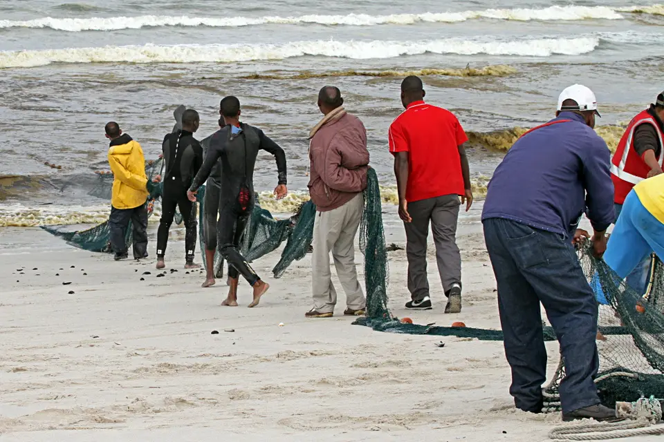 DPP_0043_FischerNetzViele.JPG