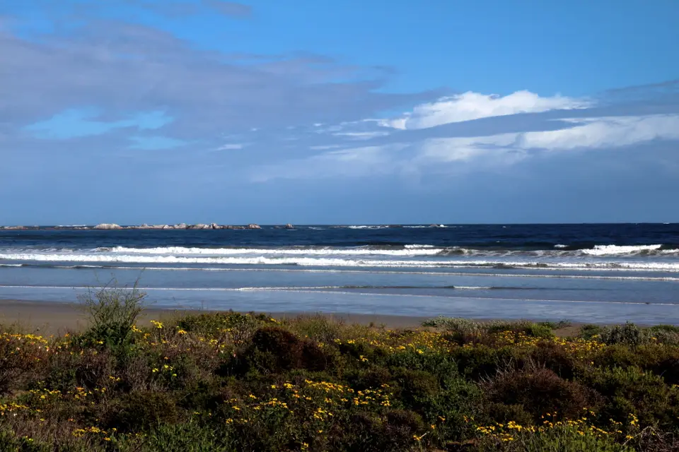 DPP_0091_Seeblick.JPG