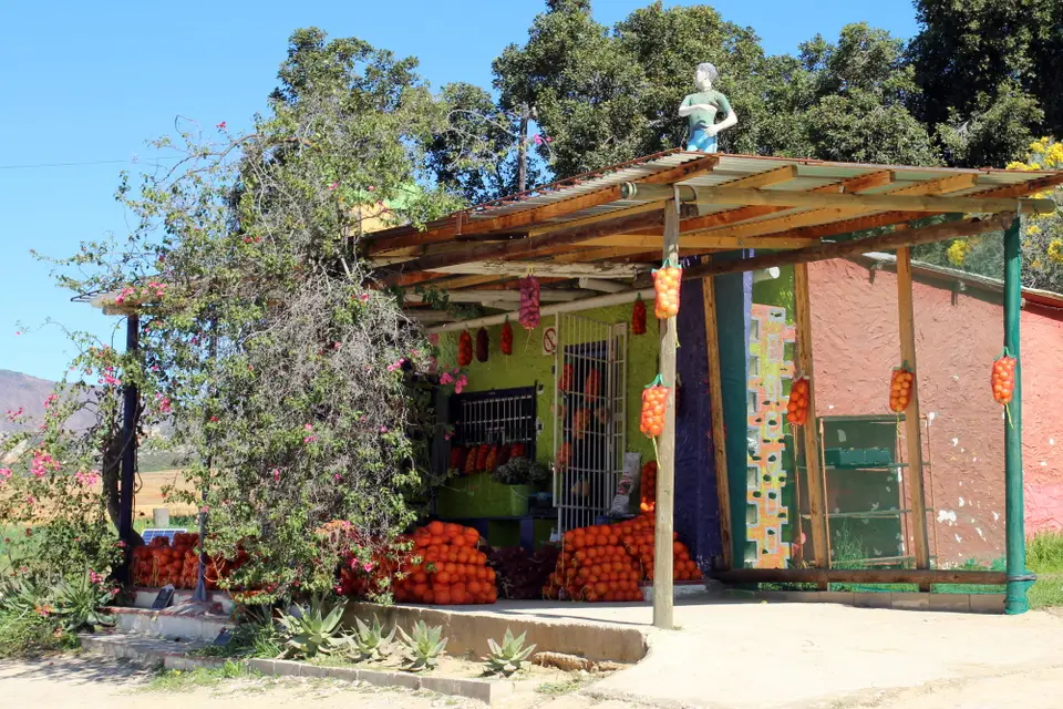 DPP_0112_Orangenstand.JPG