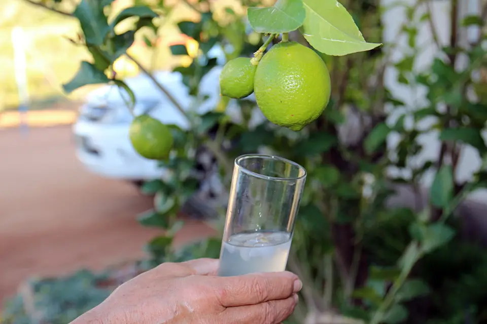 DPP_0195_Frucht-Getränk.JPG