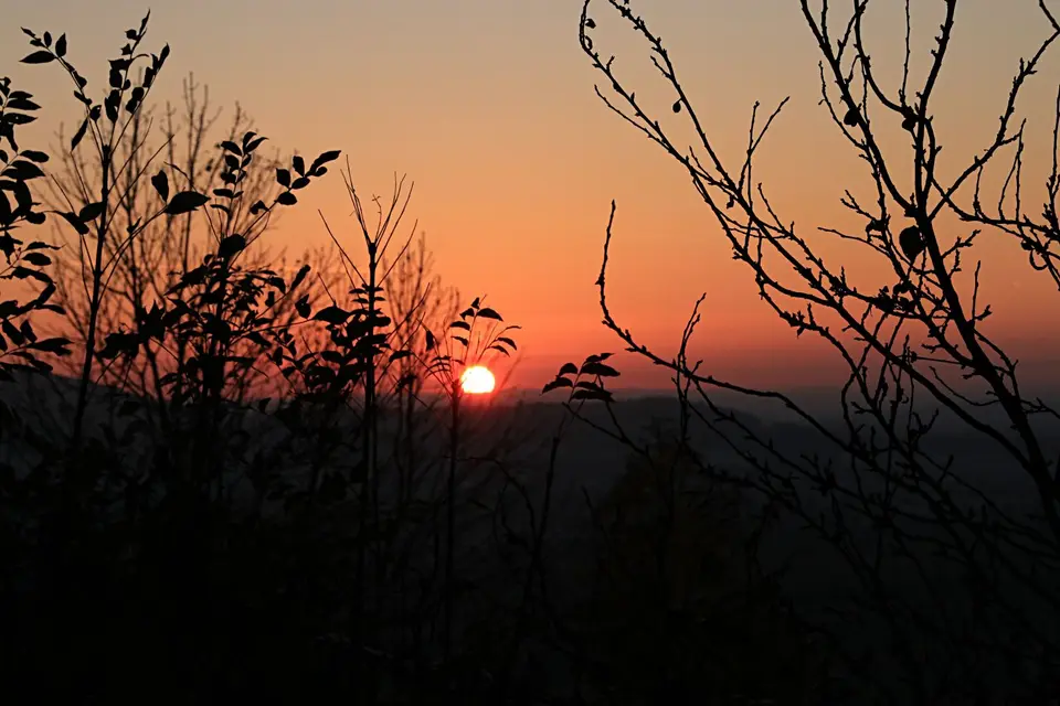 IMG_3377x.jpg