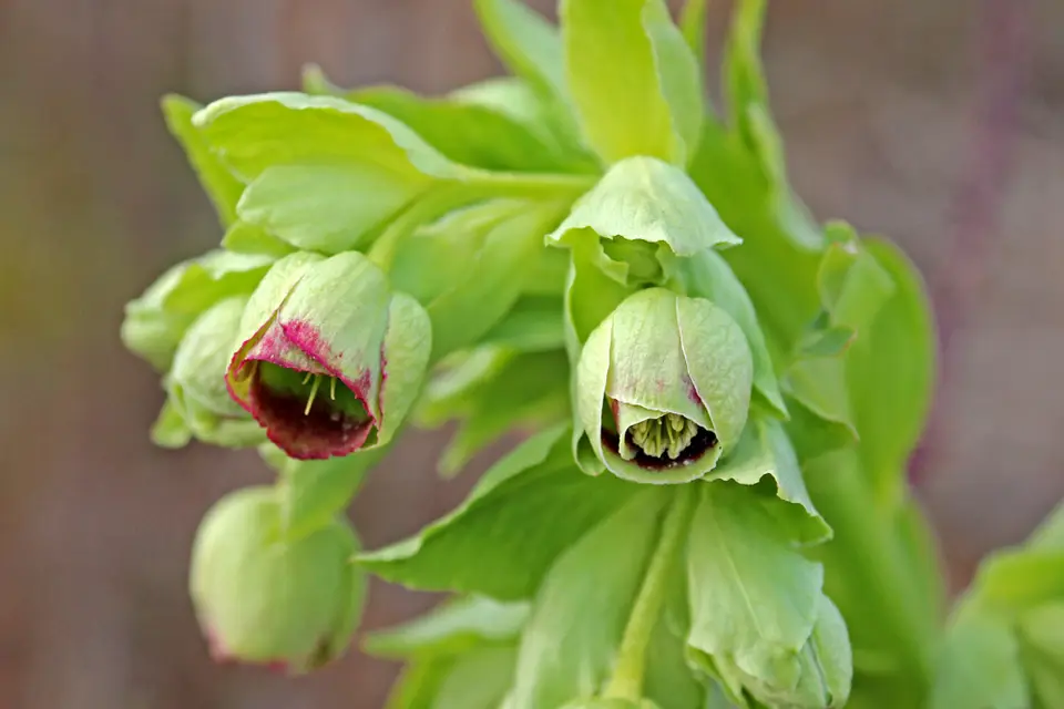 hcd697d5.jpg