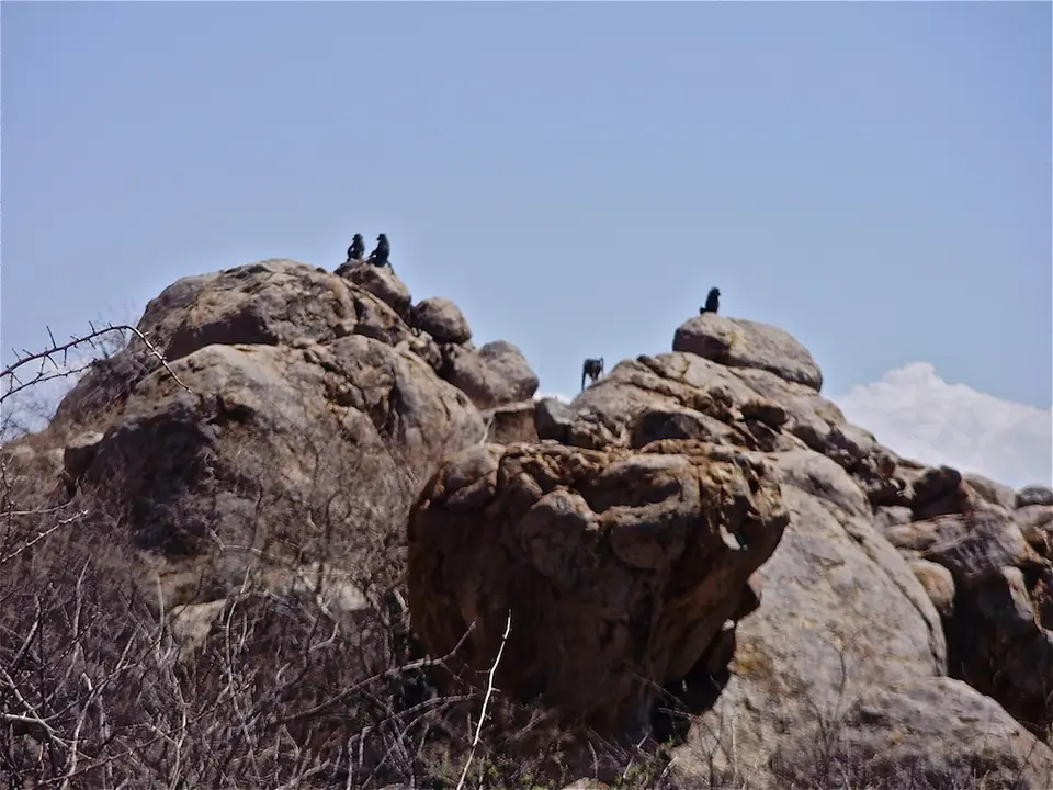 h427784c.JPG