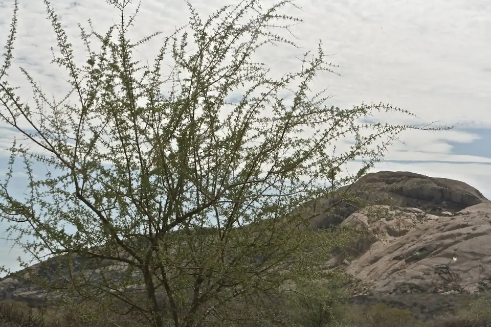 h5332768.JPG
