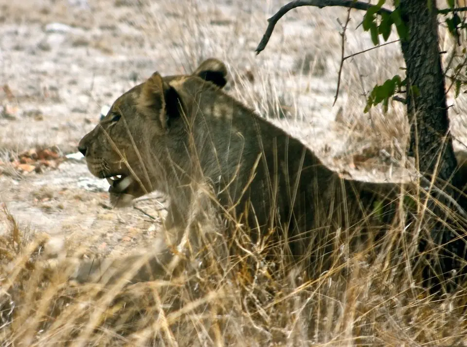 h58126e4.JPG