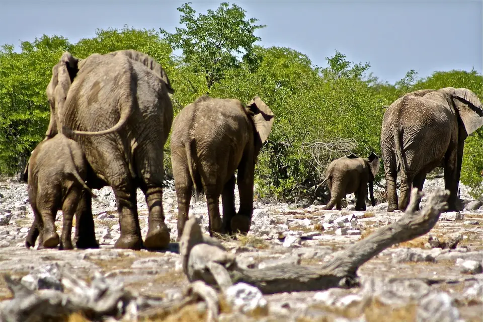 h5acc264.JPG