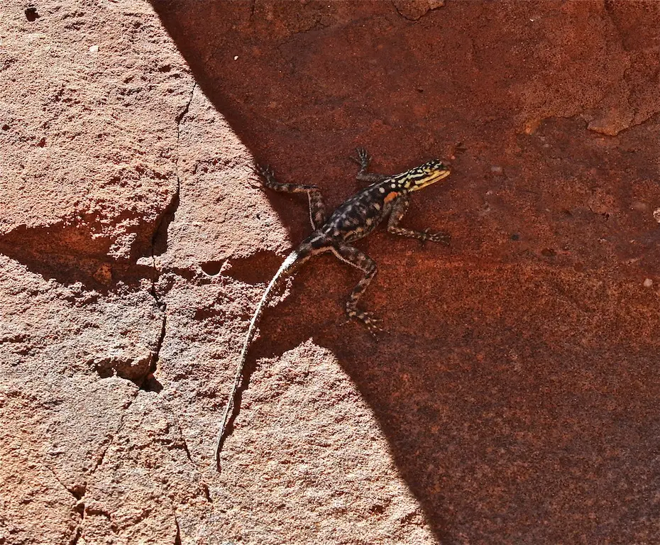 h6fd8588.JPG