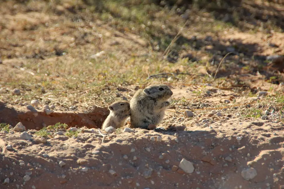 Namibia20123722.JPG