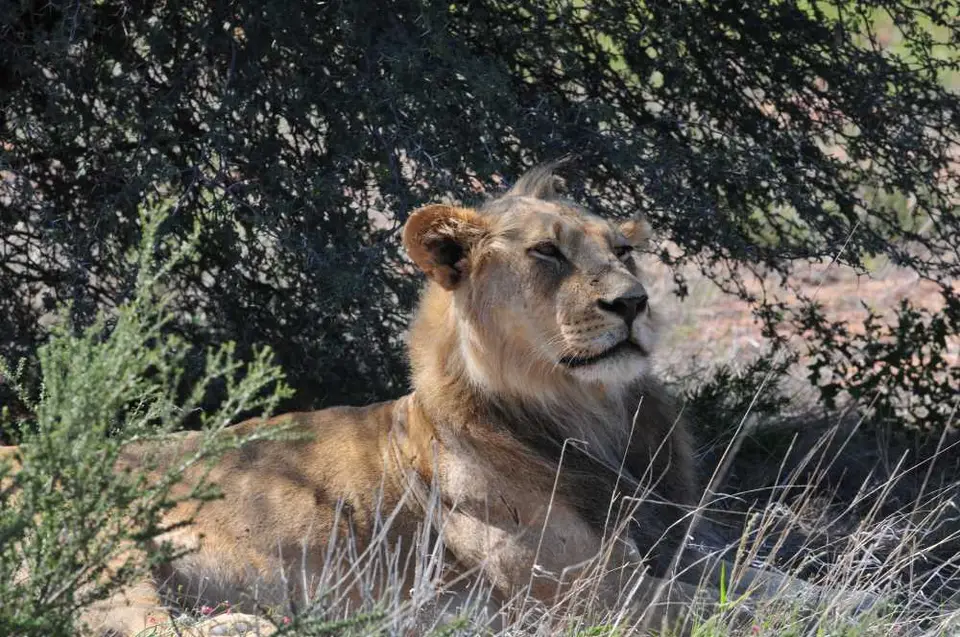 Namibia_2012_0082.JPG