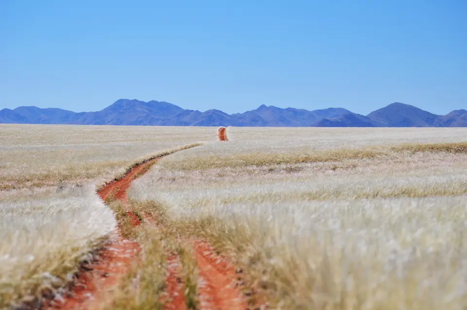 Tiras-Weg.jpg