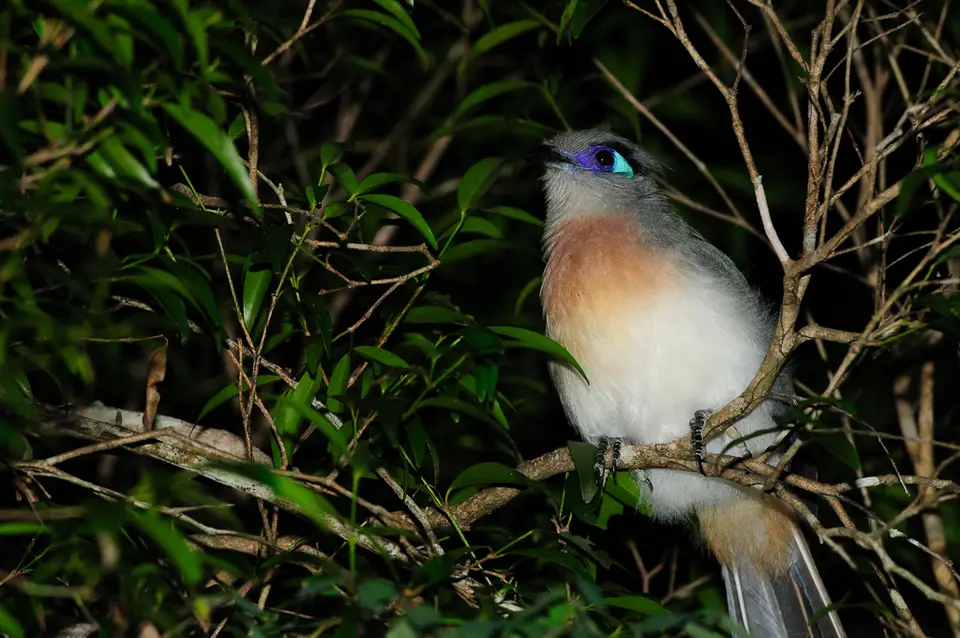 DSC_6578.jpg