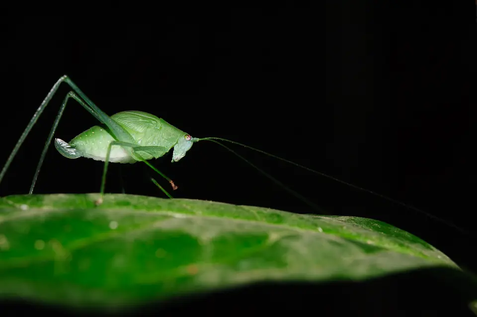 _DSC5592.jpg