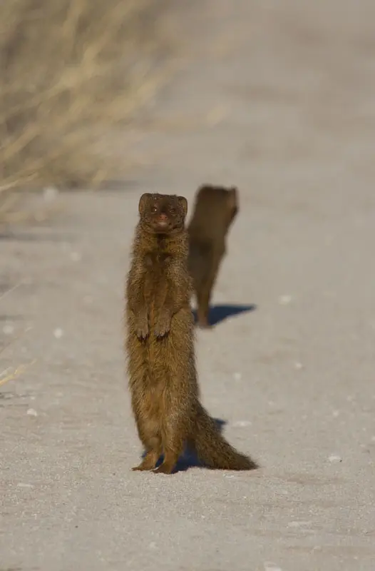 Namibia12-0.jpg