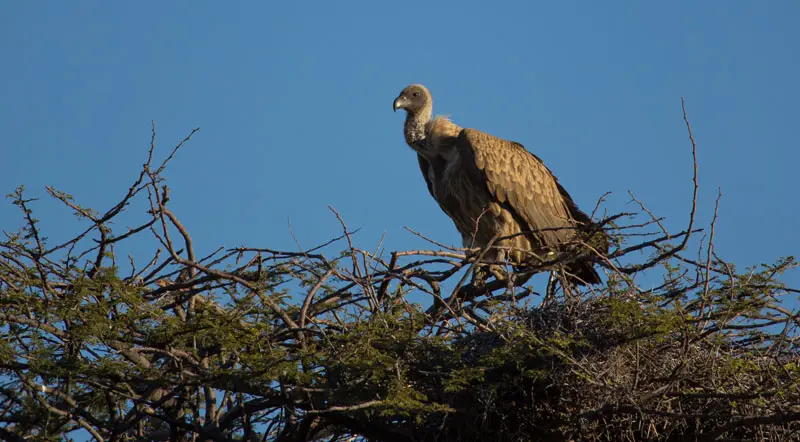 Namibia12-003.jpg