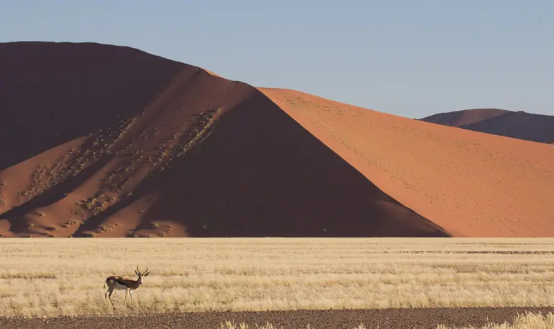 Namibia12-06.jpg