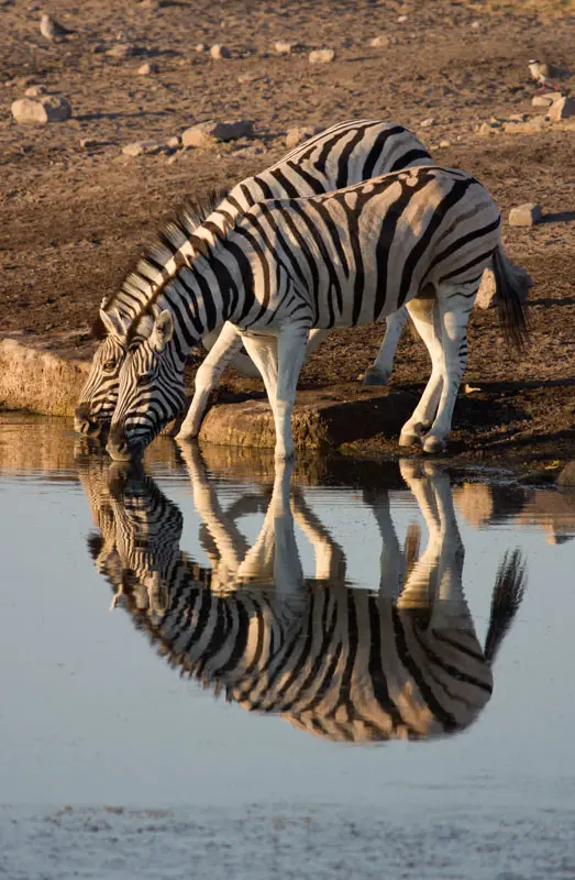 Namibia12-1.jpg