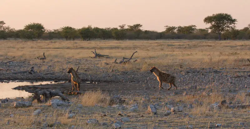 Namibia12-101.jpg