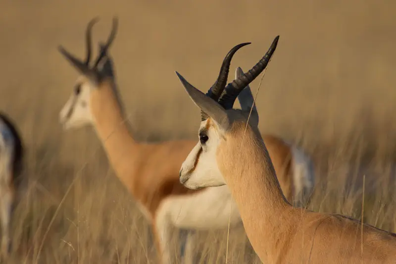 Namibia12-104.jpg
