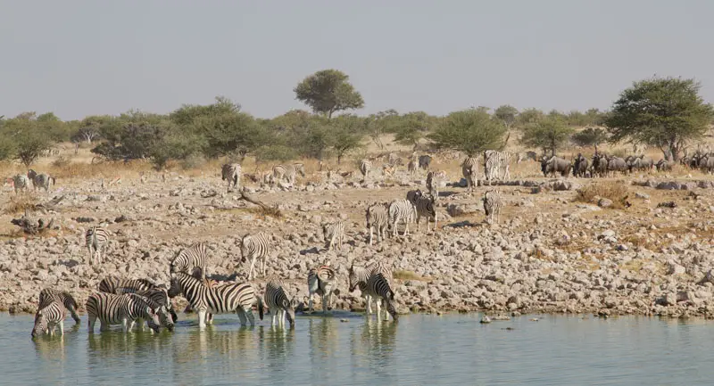 Namibia12-111.jpg