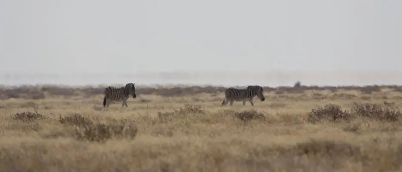 Namibia12-117.jpg