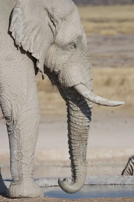 Namibia12-124.jpg