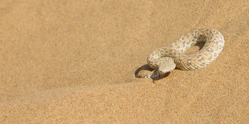 Namibia12-155.jpg