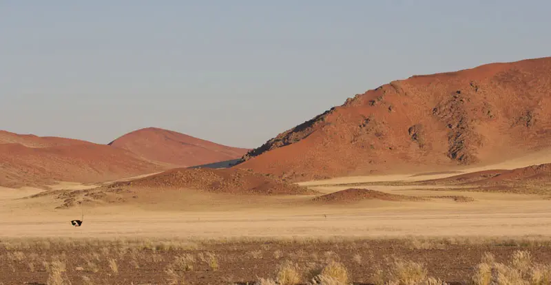 Namibia12-169.jpg