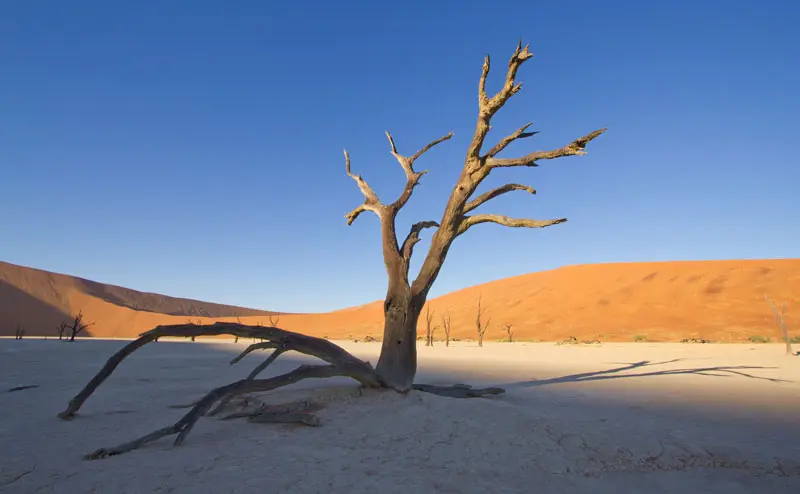 Namibia12-16_2012-11-19.jpg