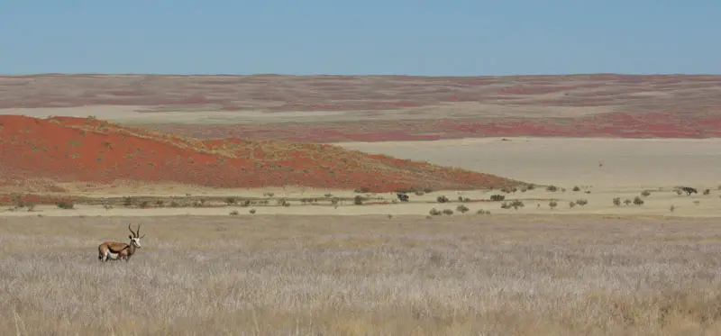 Namibia12-199.jpg