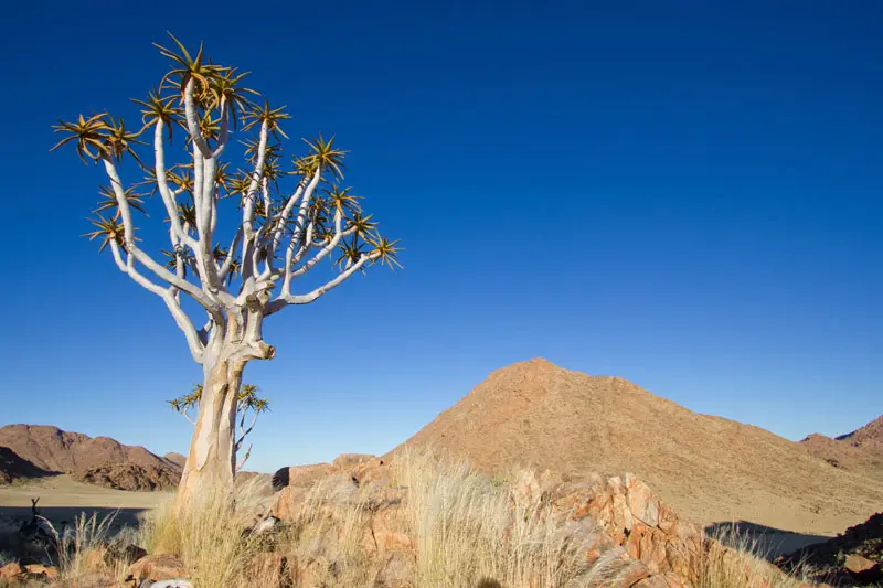 Namibia12-212.jpg