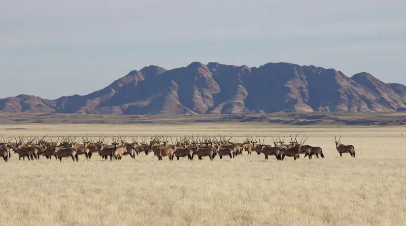 Namibia12-216.jpg