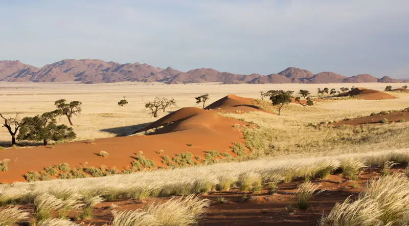 Namibia12-222.jpg