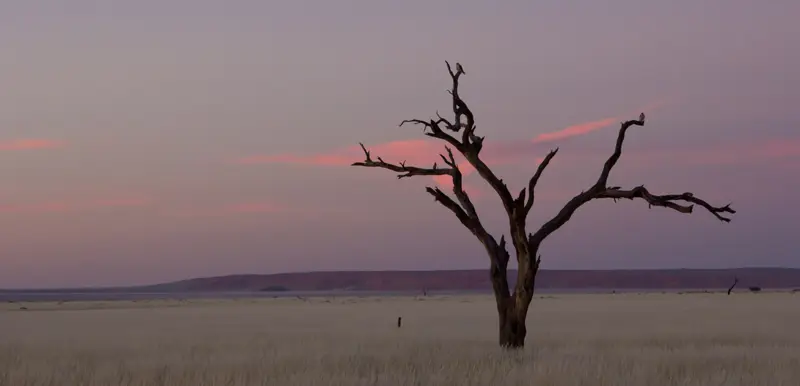 Namibia12-232.jpg