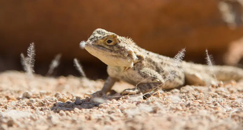 Namibia12-239.jpg