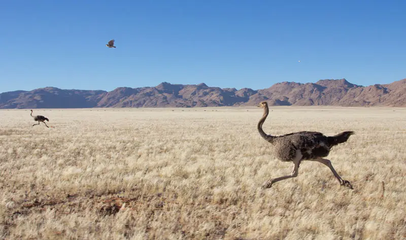 Namibia12-6_2013-03-16.jpg