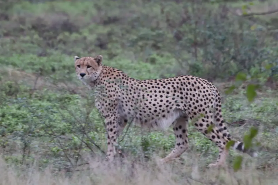 IMG_2298.JPG