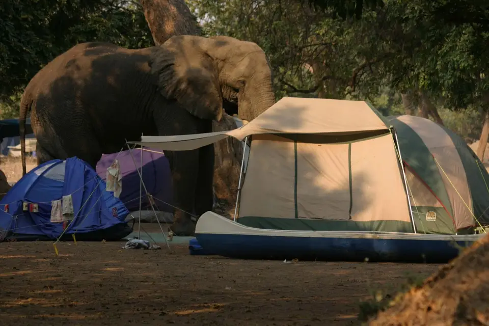ManaPools,Zimbabwe.jpg