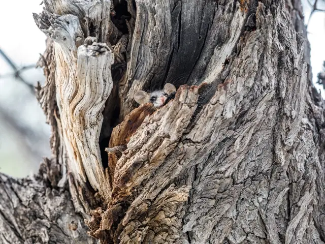 Nam18-2161.jpg
