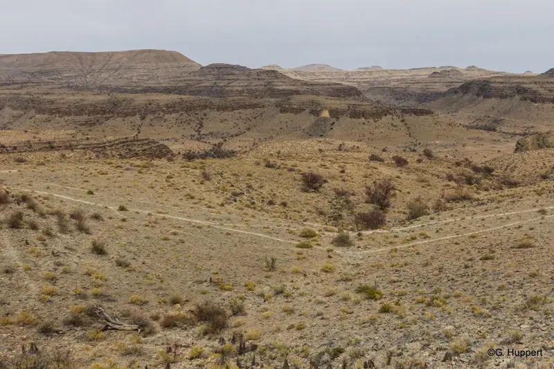 h03e3379.jpg