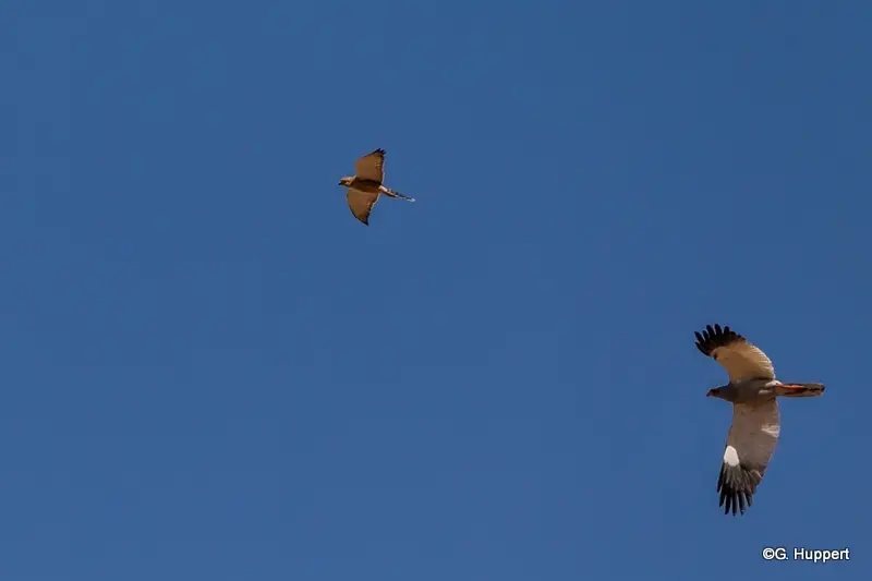 h3af5812_2015-11-05.jpg