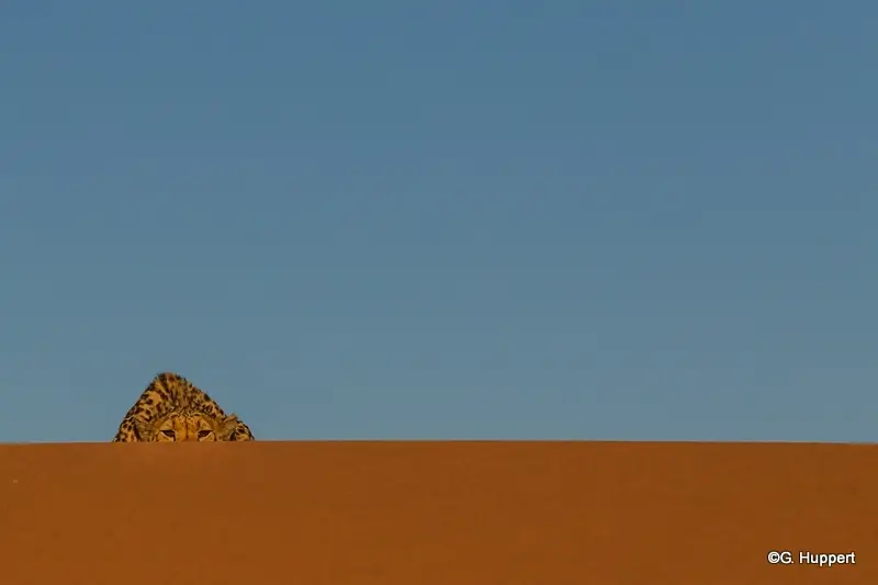 hac8c97c.jpg