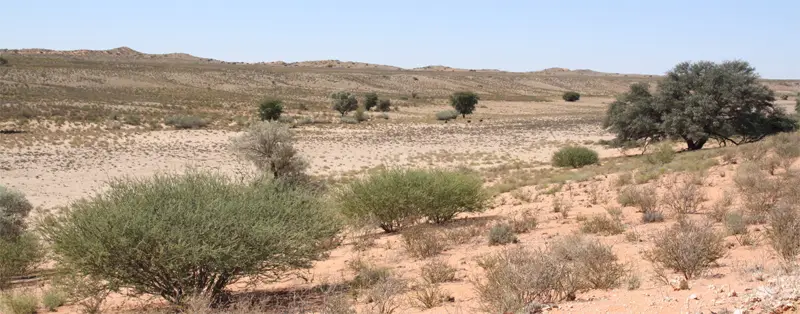 Auobtal0502.jpg