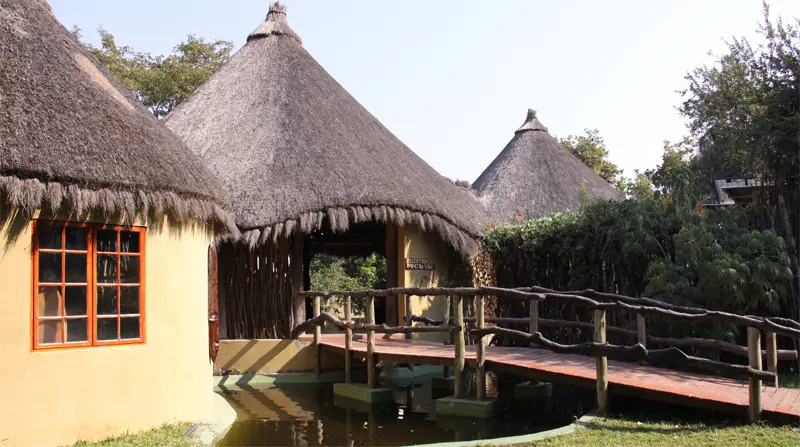 CampKwando0602.jpg