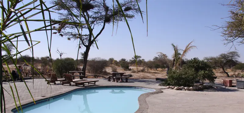 ElephantSands0304.jpg