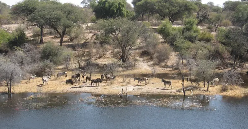 Makgadikgadi1506.jpg