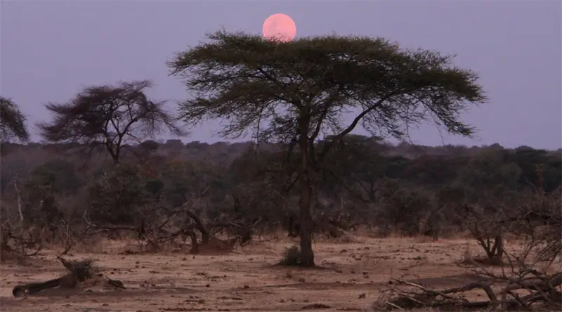 Mond0301.jpg