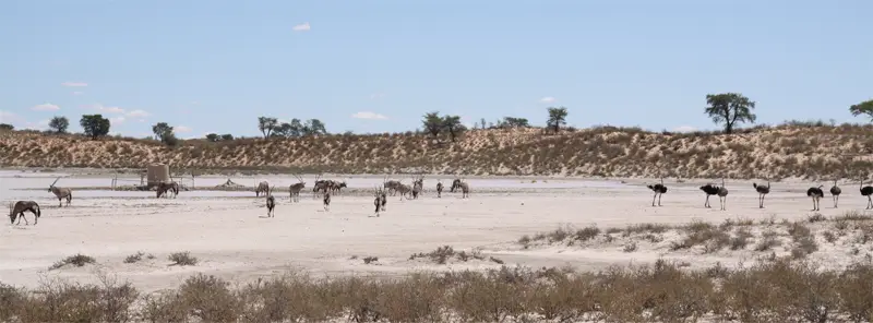 Moravet0303.jpg